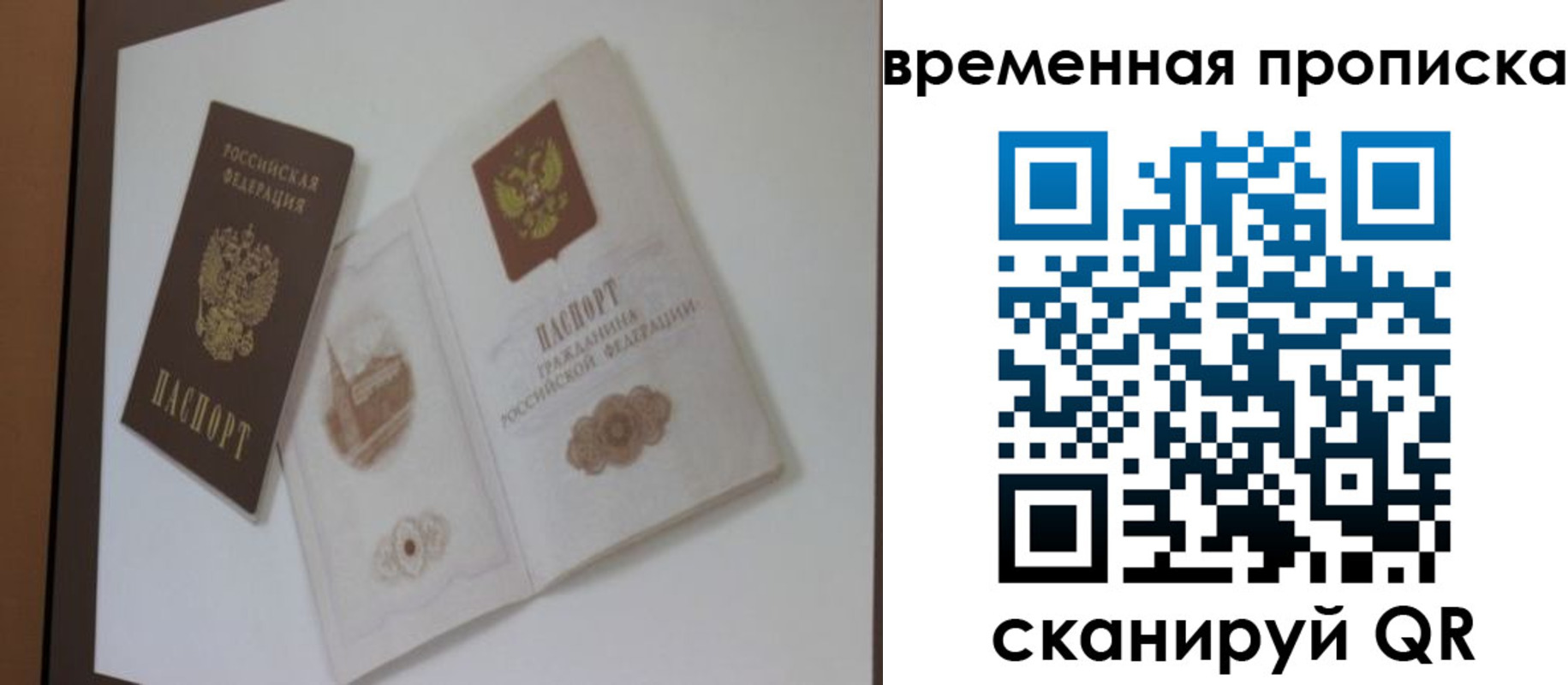 прописка 2025 в Красногорске